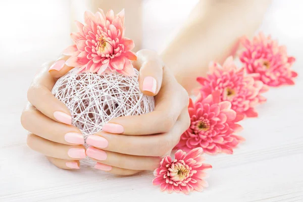 Hermosa Manicura Rosa Con Flores Crisantemo Con Una Bola Blanca —  Fotos de Stock