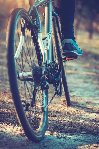 low angle view of cyclist riding mountain bike in the forest at sunset