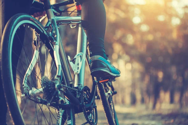 Blick Auf Radfahrer Die Bei Sonnenuntergang Mountainbike Wald Fahren — Stockfoto