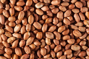 Fıstık kabuğu olmadan arka plan