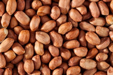 Fıstık kabuğu olmadan arka plan