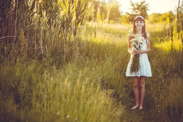Счастливая Маленькая Девочка Зеленом Лугу Букетом Цветущих Ромашки — стоковое фото