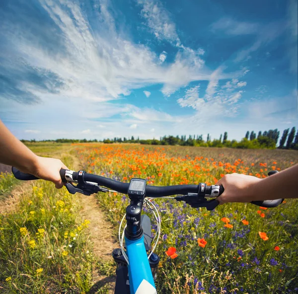Kadın Yaz Bir Çayır Çiçek Açan Bir Bisiklet Sürme — Stok fotoğraf