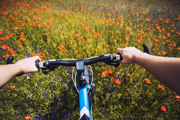 Donna Che Bicicletta Estate Fiorendo Prato — Foto Stock