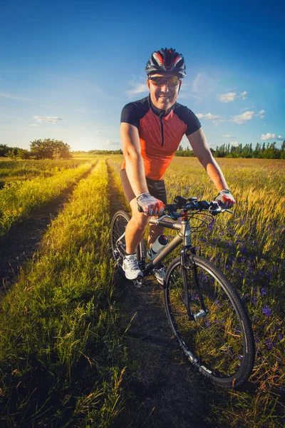 男性サイクリストは ポピーの咲く草原に乗っています スポーツ レジャー — ストック写真