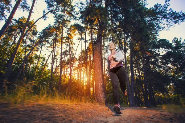 Sabah Joging Yaz Ormandaki Güzel Genç Kız — Stok fotoğraf