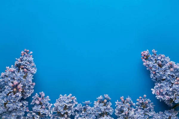 Ramos lilás no fundo azul — Fotografia de Stock