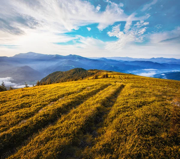 Indah matahari terbit di pegunungan Carpathian — Stok Foto