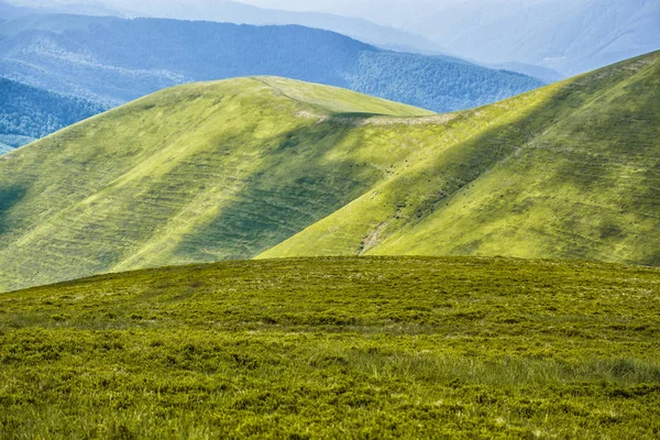 Зеленый горный луг с горным хребтом на заднем плане. — стоковое фото