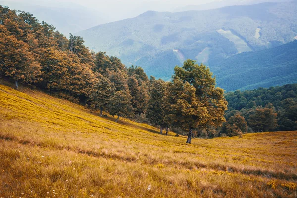 Zielona górska łąka z pasmem górskim w tle. — Zdjęcie stockowe