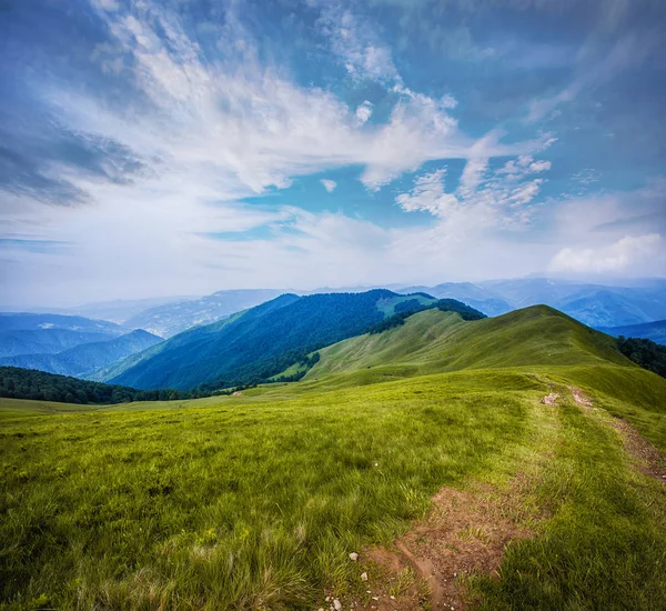 Prairie de montagne verte avec chaîne de montagnes en arrière-plan. — Photo