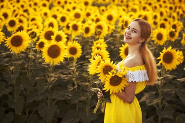 Çiçek açan ayçiçeği tarlasında sevimli kadın