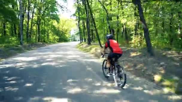 Giovane uomo in bicicletta su una strada forestale in un giorno sammer — Video Stock