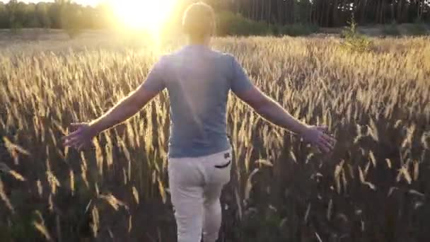 Muž prochází loukou při západu slunce — Stock video