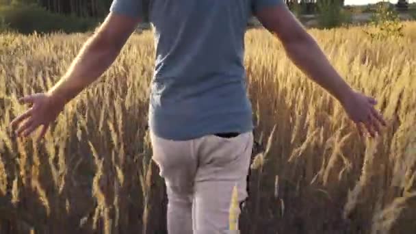 Man loopt door een weide bij zonsondergang — Stockvideo