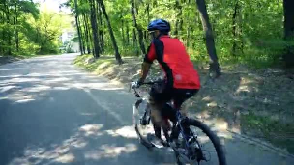 Joven ciclismo en un camino forestal en un día de verano — Vídeo de stock