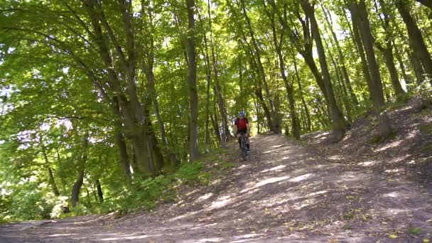 Joven ciclismo en un camino forestal en un día de verano — Vídeos de Stock