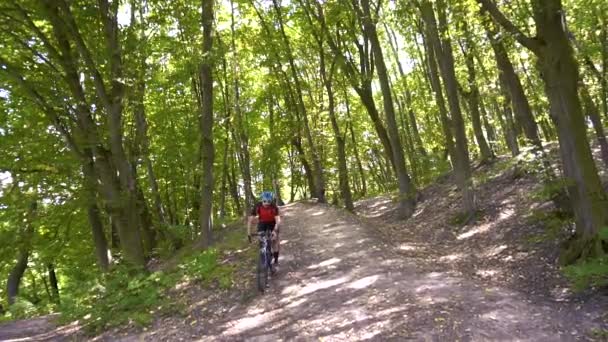 Jonge man fietsen op een bosweg in een Sammer dag — Stockvideo