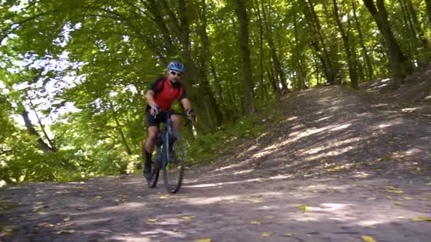 Jeune homme faisant du vélo sur une route forestière dans un jour de sammer — Video