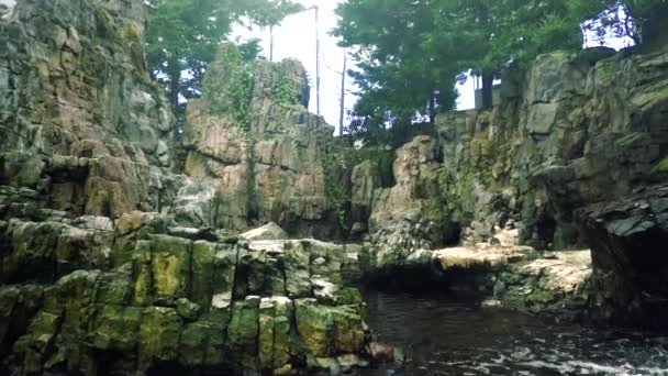Cachoeira no parque — Vídeo de Stock
