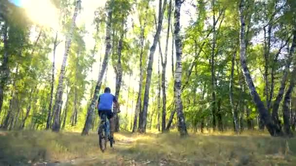 Fiatal férfi kerékpározás egy erdei úton egy Szammer nap — Stock videók