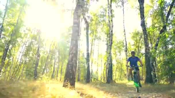 Jeune homme faisant du vélo sur une route forestière dans un jour de sammer — Video