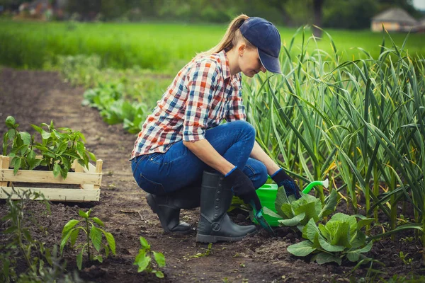 Vrouw boer werkt in een tuin in een geruit shirt. — Stockfoto