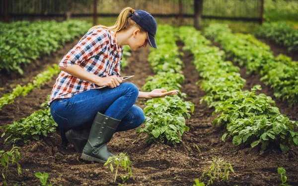 Nő farmer dolgozik egy kertben egy kockás ing. — Stock Fotó