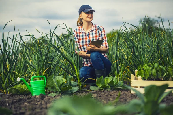 Kvinnliga Agronomer Kontrollerar Vitlökens Tillväxttakt Ekologisk Gård Ekologiskt Jordbruk — Stockfoto