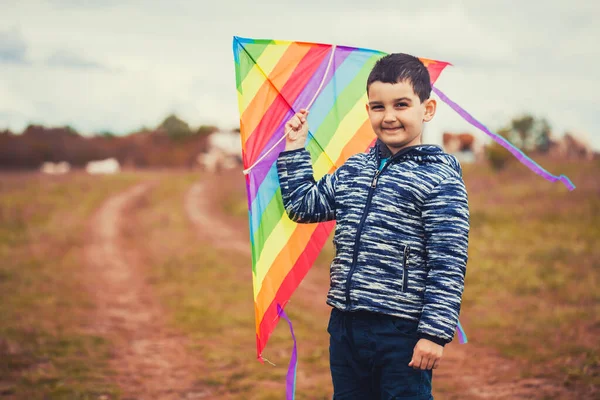 Malý Chlapec Modré Košili Běží Drakem Louce Letní Den Parku — Stock fotografie