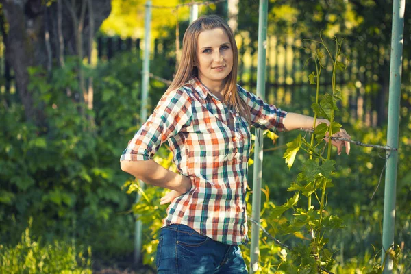 Boerenvrouw Bindt Druiven Tuin Ecoboerderij — Stockfoto