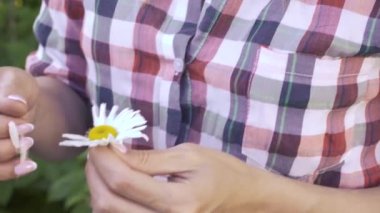 Papatya papatyasında falcı kadının ellerinde..