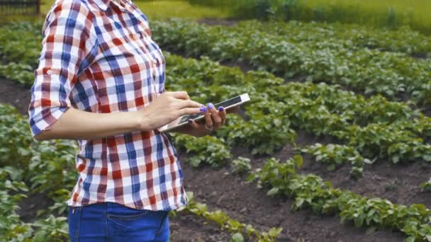 Жінка-агроном перевіряє темпи росту картоплі на екологічній фермі . — стокове відео