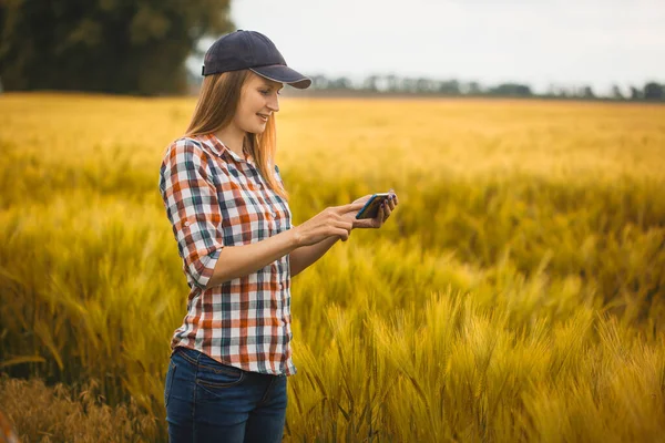 Samica Agronomii Sprawdza Tempo Wzrostu Zbóż Gospodarstwie Ekologicznym Rolnictwo Ekologiczne — Zdjęcie stockowe