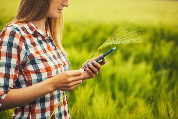 Kvinnliga Agronomer Kontrollerar Spannmålstillväxten Ett Eko Jordbruk Ekologiskt Jordbruk — Stockfoto