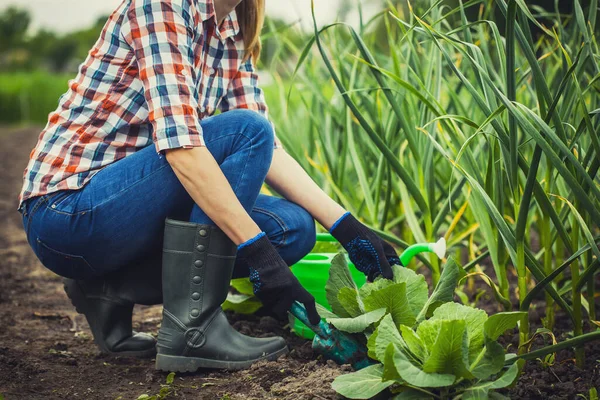 Vrouw boer werkt in een tuin in een geruit shirt. — Stockfoto