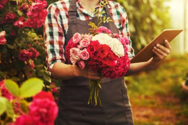 Kadın tarımcı, yeni gül çeşitlerinin kalite kontrollü üremesini sağlar. çiçek çiftliği