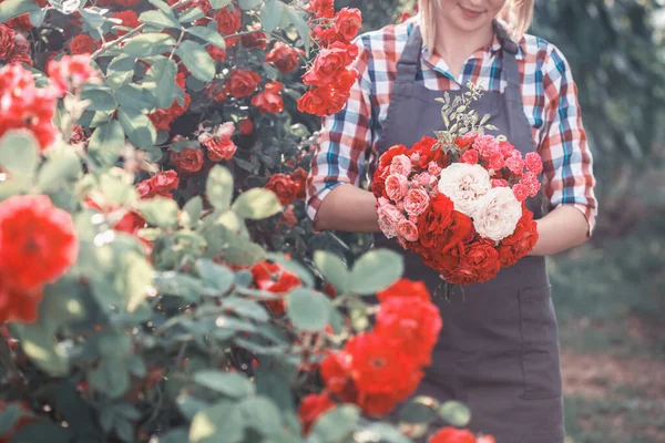 Mladá Dívka Zahradnice Krájí Kytici Čerstvých Růží Květinová Dílna — Stock fotografie