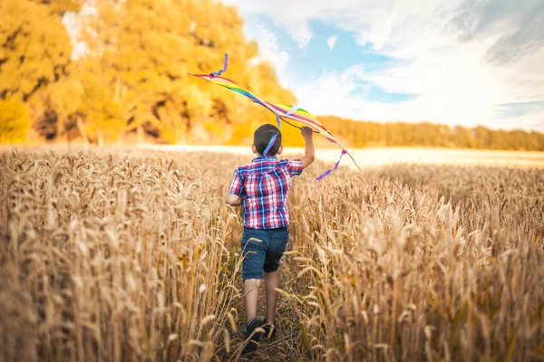 夏天的一天 公园里 穿着格子衬衫的小男孩带着风筝在麦田里跑着 后视镜 — 图库照片