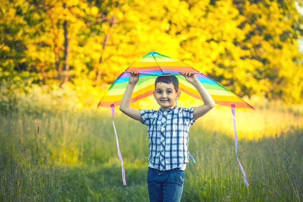 Liten pojke i blå skjorta kör med drake på ängen — Stockfoto