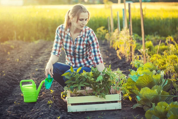 Vrouw boer werkt in een tuin in een geruit shirt. — Stockfoto