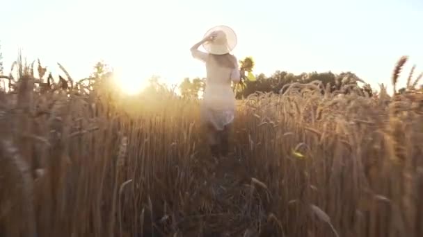 Mujer con girasoles en un vestido retro y un sombrero en un campo de trigo de verano — Vídeo de stock