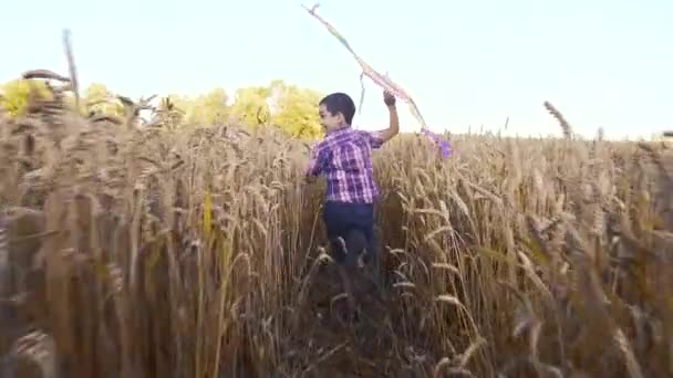 Ragazzino in camicia blu che corre con aquilone sul campo di grano — Video Stock