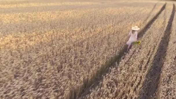 Kobieta ze słonecznikami w sukience retro i kapeluszem na polu pszenicy letniej — Wideo stockowe
