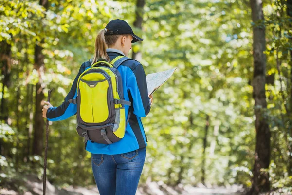 Junge Frau spaziert in einem sommerlichen Kiefernwald. — Stockfoto