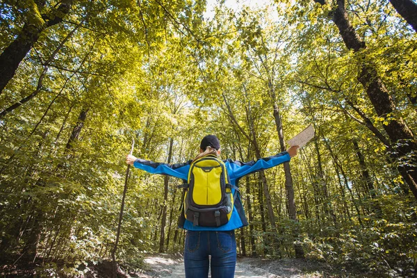 Ung kvinna går i en sommar tallskog. — Stockfoto