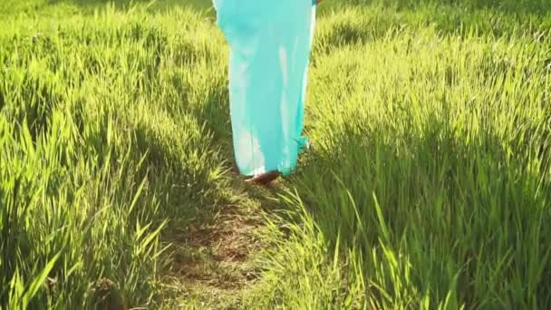 Bosá žena kráčí po bujné jarní trávě. — Stock video