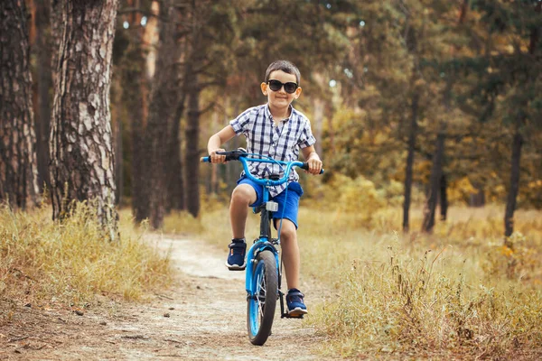 骑自行车的男孩骑自行车在阳光灿烂的森林里 冒险旅行 — 图库照片