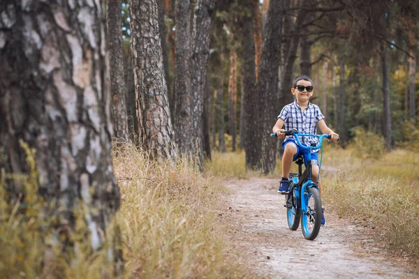 Komik çocuk bisikletle güneşli bir ormanda bisiklet sürüyor. Macera seyahati.