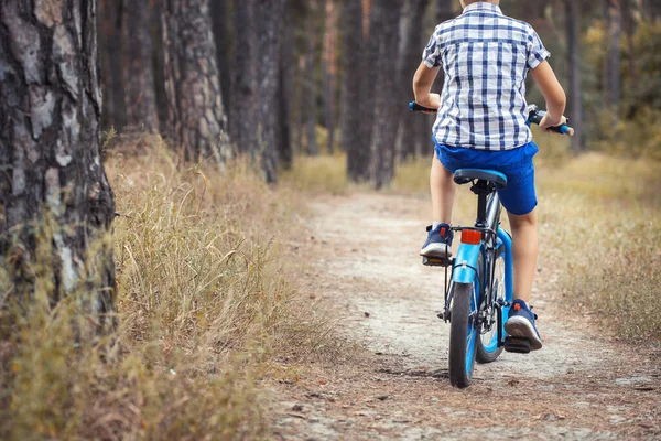 Lustige Junge Radler Fährt Sonnigen Wald Auf Einem Fahrrad Abenteuerreisen — Stockfoto